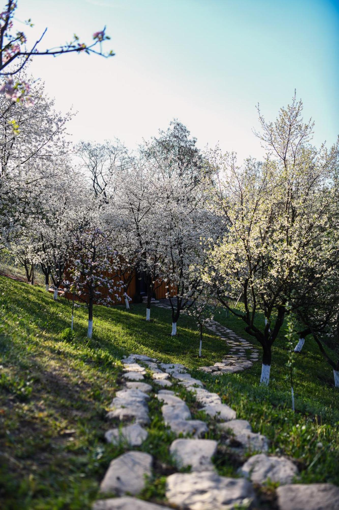 Casuta Din Livada Villa Măneciu Exterior foto